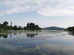 -渤公岛生态公园