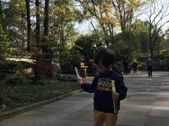 -南山植物园