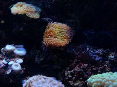 -正佳极地海洋世界