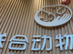 -联合动物医院(光谷诊疗中心)
