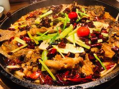 -老板恋上鱼(印象城店)