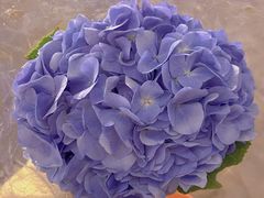 -玲婧胡同·生日蛋糕·餐厅(嘉里城店)