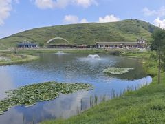 -仰天湖大草原