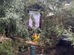 -Metal hands·铁手咖啡