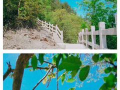 -天台山赤城山景区