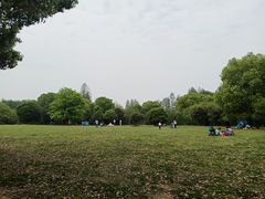 -东湖落雁景区