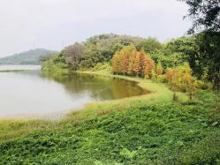 -佛灵湖水上乐园