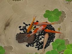 -苏州本色美术馆