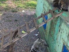 -秦皇岛野生动物园