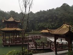 -铁山坪森林公园