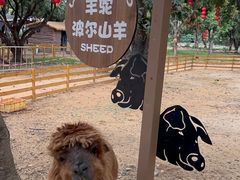 -光明农场大观园