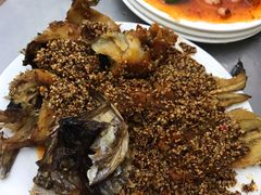 -松明一烤肉馆(鲁园店)