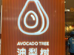-油梨树 AVOCADO TREE(亮马桥店)