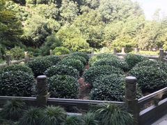 -十八棵（老龙井）御茶园(老龙井店)
