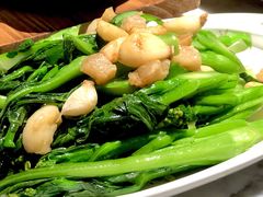 -大鸽饭(体育西路店)