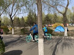 -丁香湖公园
