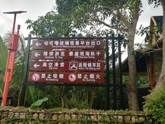 -呀诺达热带雨林