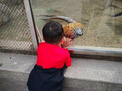 -陕西自然博物馆