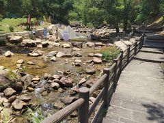 -广州白江湖森林公园