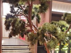 -老家水饺濮阳菜(巴黎街店)