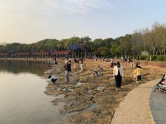 -暨阳湖生态园