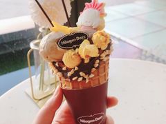-哈根达斯(扬州瘦西湖店)