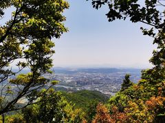 -清溪森林公园