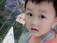 -泉州海丝野生动物世界