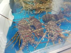-盒马X会员店(上海森兰商都店)
