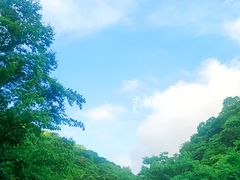 -青峰峡国家森林公园