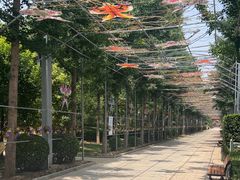 -南宫五洲植物乐园