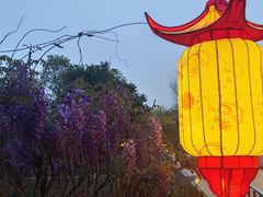 -武汉园博园(武汉自然博物馆)