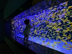 -成都浩海立方海洋公园