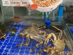 -船歌·鱼水饺青岛菜(闽江二路店)