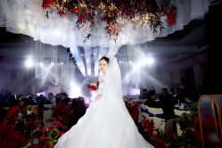 -艾米丽婚纱礼服