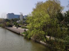 -上海交通大学（闵行校区）-李政道图书馆