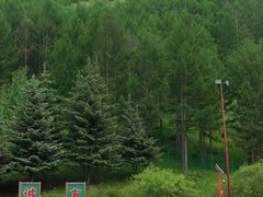 -塞罕坝国家级自然保护区