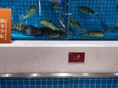 -腾阁自助餐厅(朝林广场店)