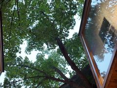 -VOYAGE COFFEE(杨梅竹店)