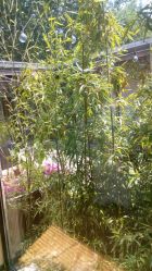 点击看大图 -爱儿美儿童摄影(朝阳公园店)