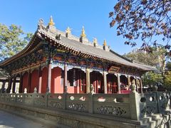 -护国法轮寺