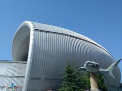 -烟台海昌鲸鲨海洋公园