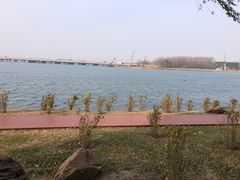 -丁香湖公园
