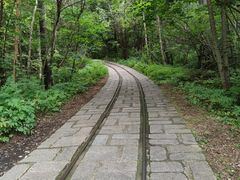 -五营国家森林公园