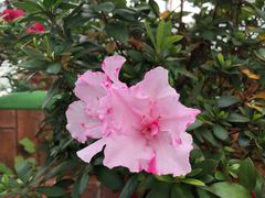 -无锡梅园公园
