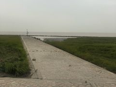 -南汇嘴观海公园