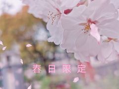 -高东镇樱花园