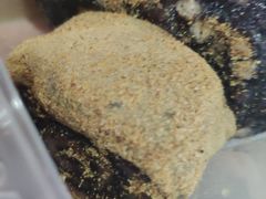 -清真老西北角温记粘食店(长沙路店)