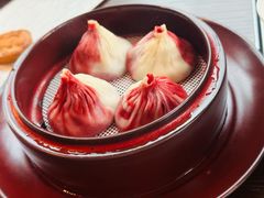 -随堂里