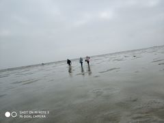 -北海金海湾红树林生态旅游区